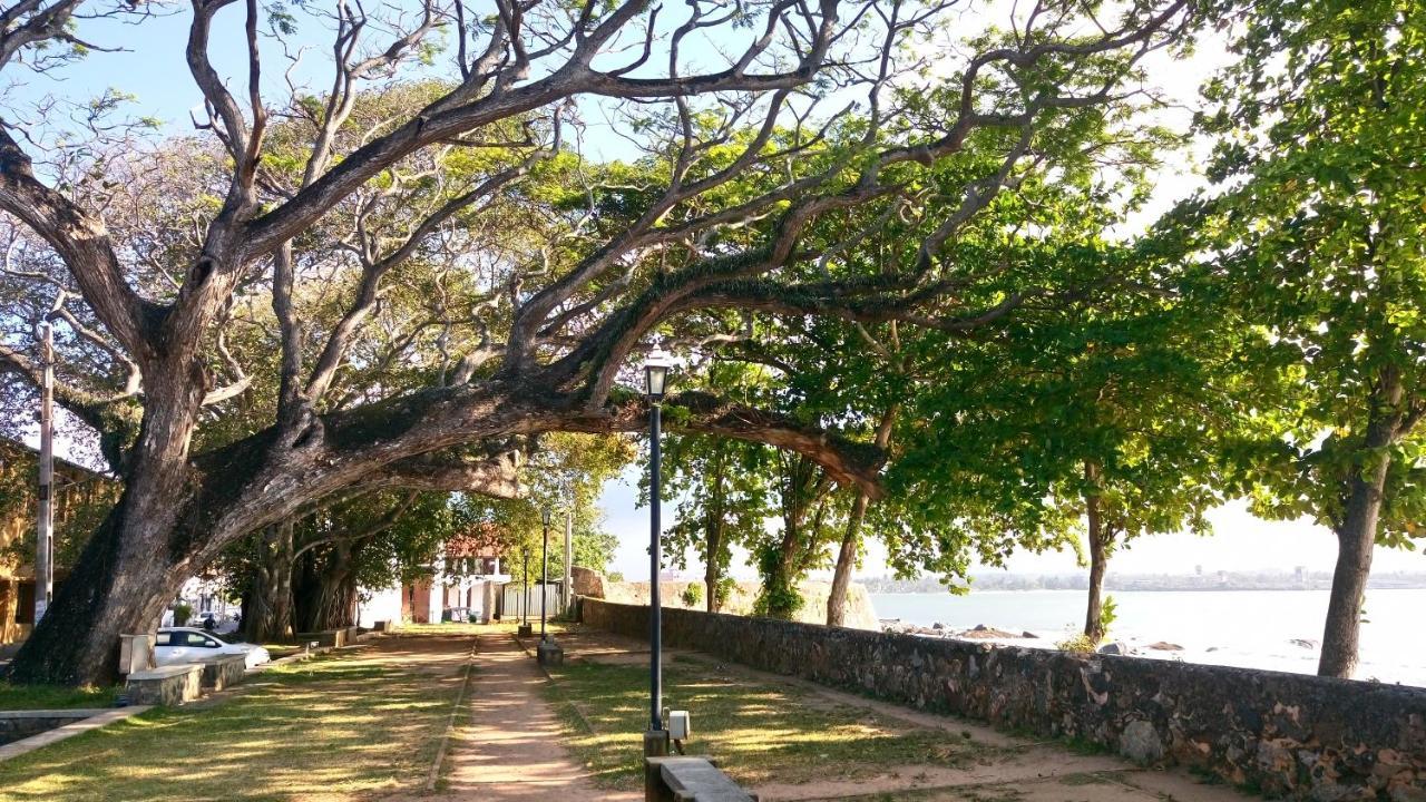 Oesis - Stylish Villa Steps From Historic Galle Fort 外观 照片